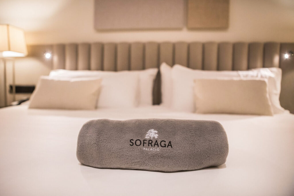 Junior Suite Palacio Sofraga Ávila